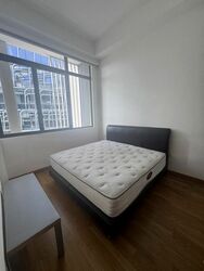 Onze @ Tanjong Pagar (D2), Apartment #458187581